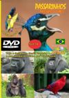 DVD 14 - P�ssaros Livres - Sons P�ssaros Brasil